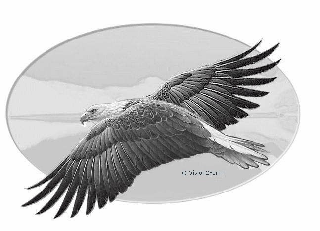 Adler auf Spiegel - Mattierte Abbildung 1