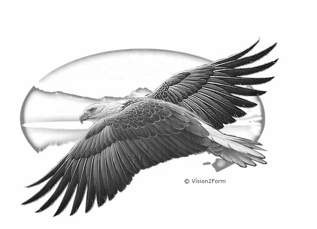 Adler auf Spiegel - Mattierte Abbildung 2